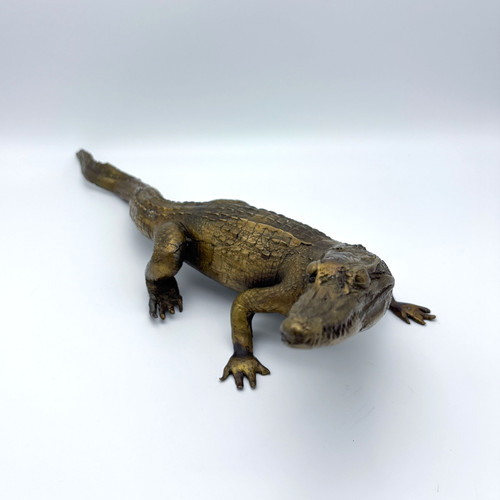 Bronzefigur krokodil - bronzefigur,